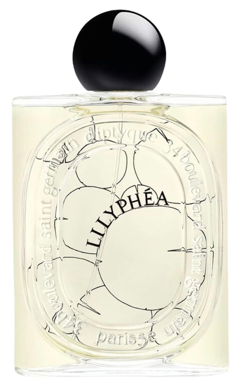Lilyphéa