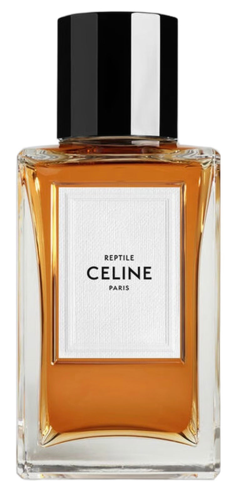 Reptile